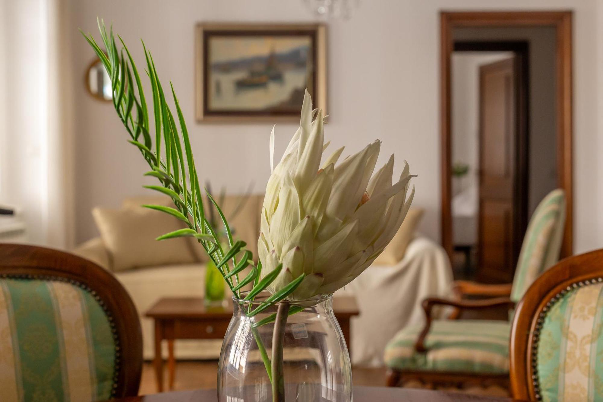 Iflat Vatican Spacious Apartment With Terrace روما المظهر الخارجي الصورة